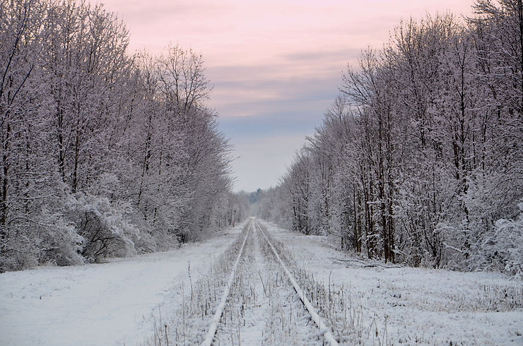 railroad tracks in the snow between barren trees on either side and a sunset in the background